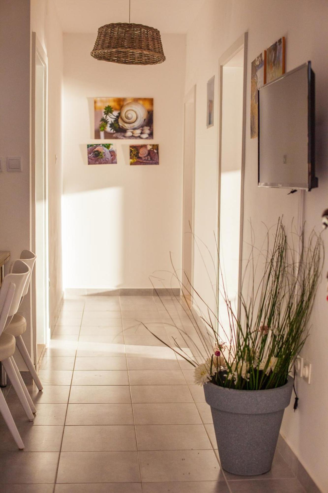 Apartments Marilka Podgora Zewnętrze zdjęcie
